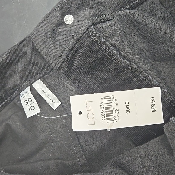 Ann Taylor LOFT Fall Pants Bundle (2) Size 10 - Picture 7 of 11